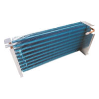 Blizzard B1-EVAP13 BL1SS Evaporator