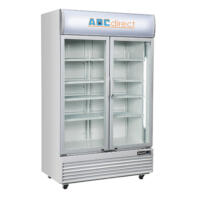 Blizzard GD1000H Hinged Double Door Merchandiser