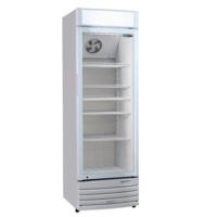 Blizzard KB350 Glass Door Display Merchandiser