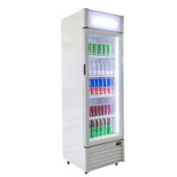 Blizzard QR350 Glass Door Display Merchandiser