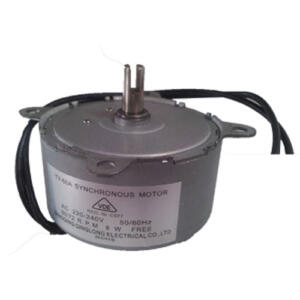 Polar AB560 Paddle Motor